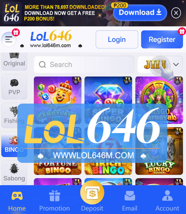 Conclusion About Lol646